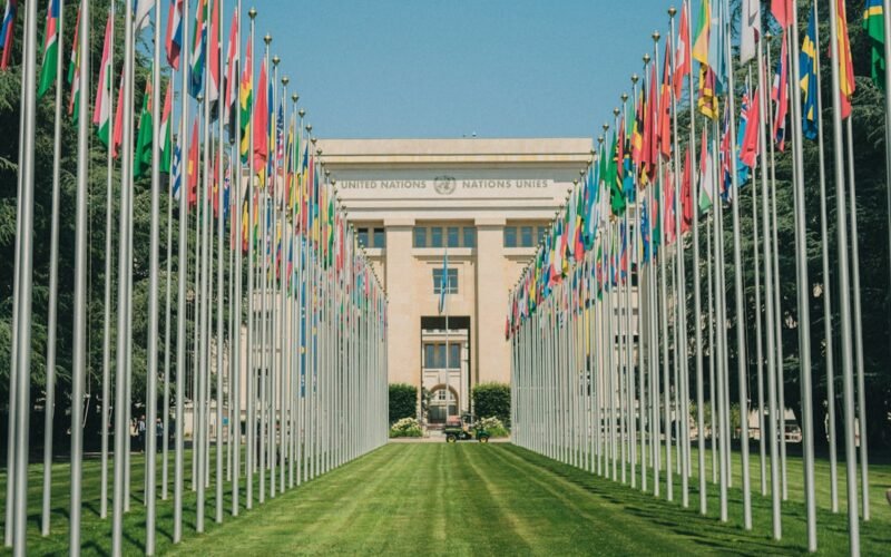 World Health Assembly Transport 2027 — Private Chauffeur Geneva