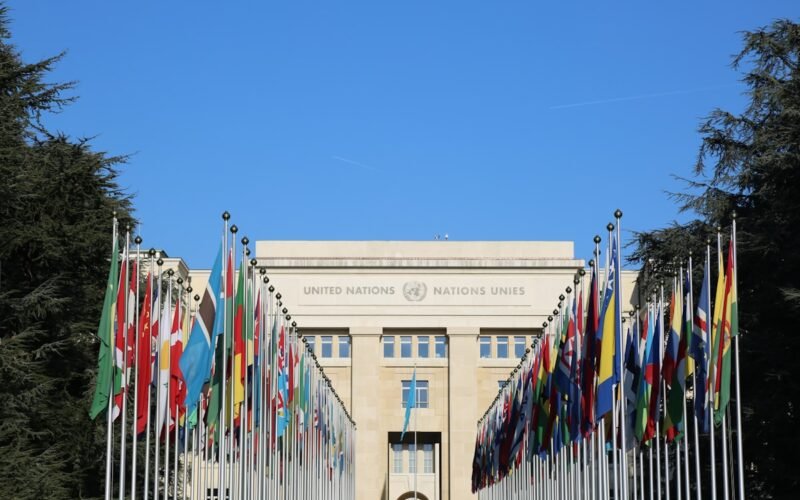 ILO Conference 2026 Transport — Private Chauffeur Geneva